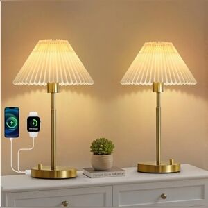 New Set of 2: Dimmable Lamps with USB A and C Plugs